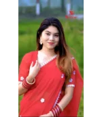 Geogette Embroiry Saree